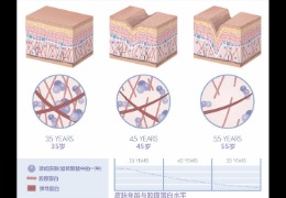 水潤(rùn)皮膚的秘密武器，乙酰殼糖胺和透明質(zhì)酸的甜蜜聯(lián)盟！